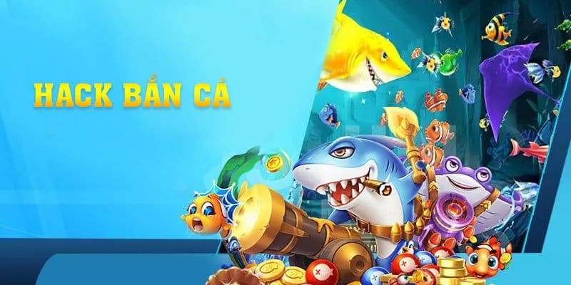kết nối máy chủ
