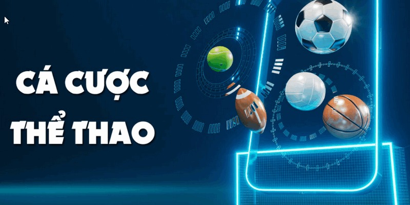 Cá cược thể thao BetVisa là gì