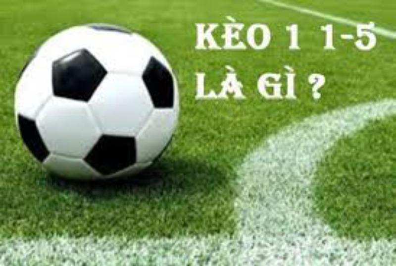 Đặt kèo 1 1 5 ở trận giữa Đức và Phần Lan